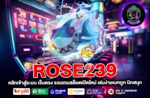 ROSE239